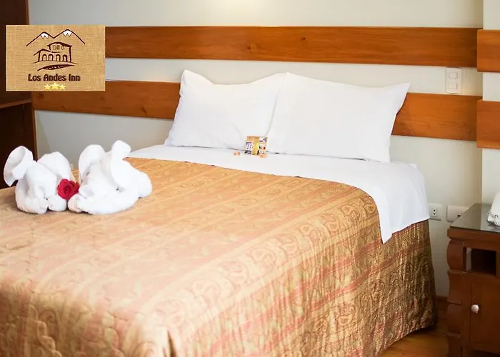 Andes Hotel 3*