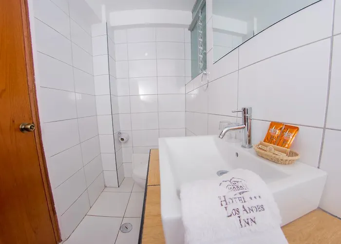 Andes Hotel 3*